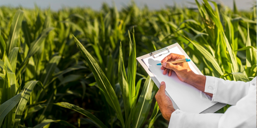 Gestão de custos - TagAgro - O agro está em nosso DNA