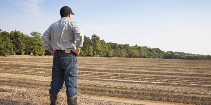 Controle agrícola - TagAgro - O agro está em nosso DNA