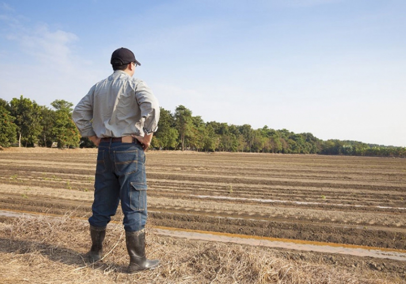 Controle agrícola - TagAgro - O agro está em nosso DNA